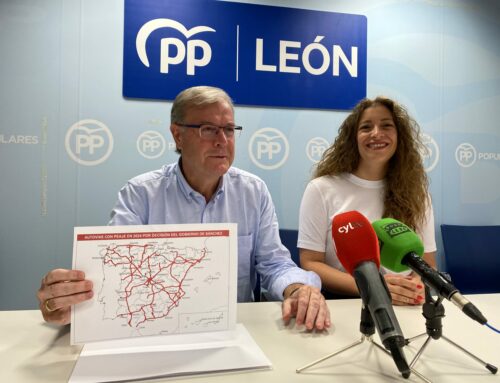 “Pedro Sánchez margina de nuevo a León al dejarnos sin trenes ‘low cost’ y peligra la continuidad de los bonos”
