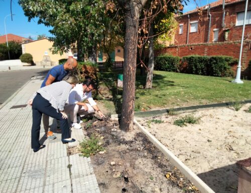 David Fernández visita la pedanía de Trobajo del Cerecedo y solicita al gobierno municipal la reparación urgente del parque y el área infantil
